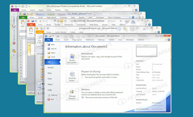 Office Professional Plus 2010 — imagen 1