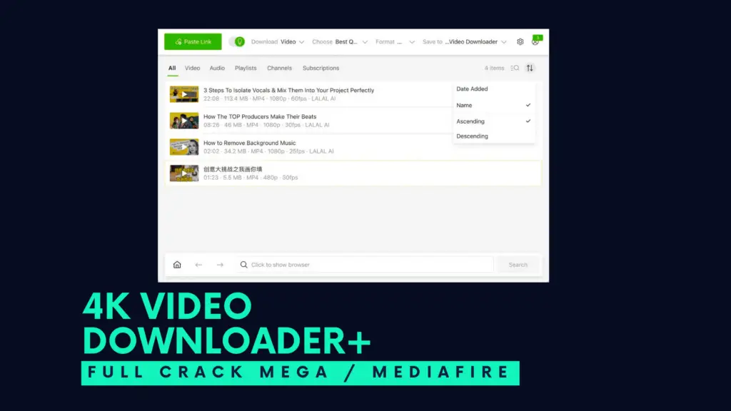 4K Video Downloader Full — imagen 2