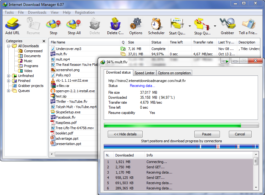 Internet Download Manager (IDM) — imagen 4