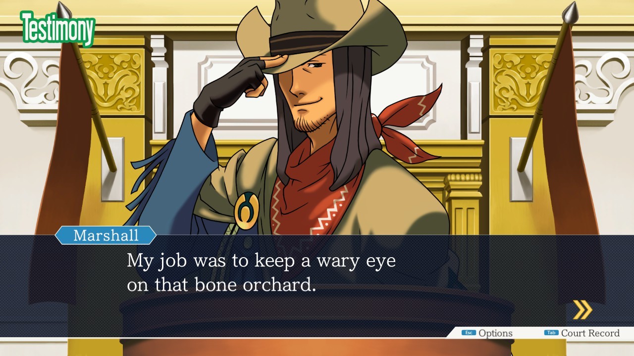 Phoenix Wright Ace Attorney Trilogy — imagen 2